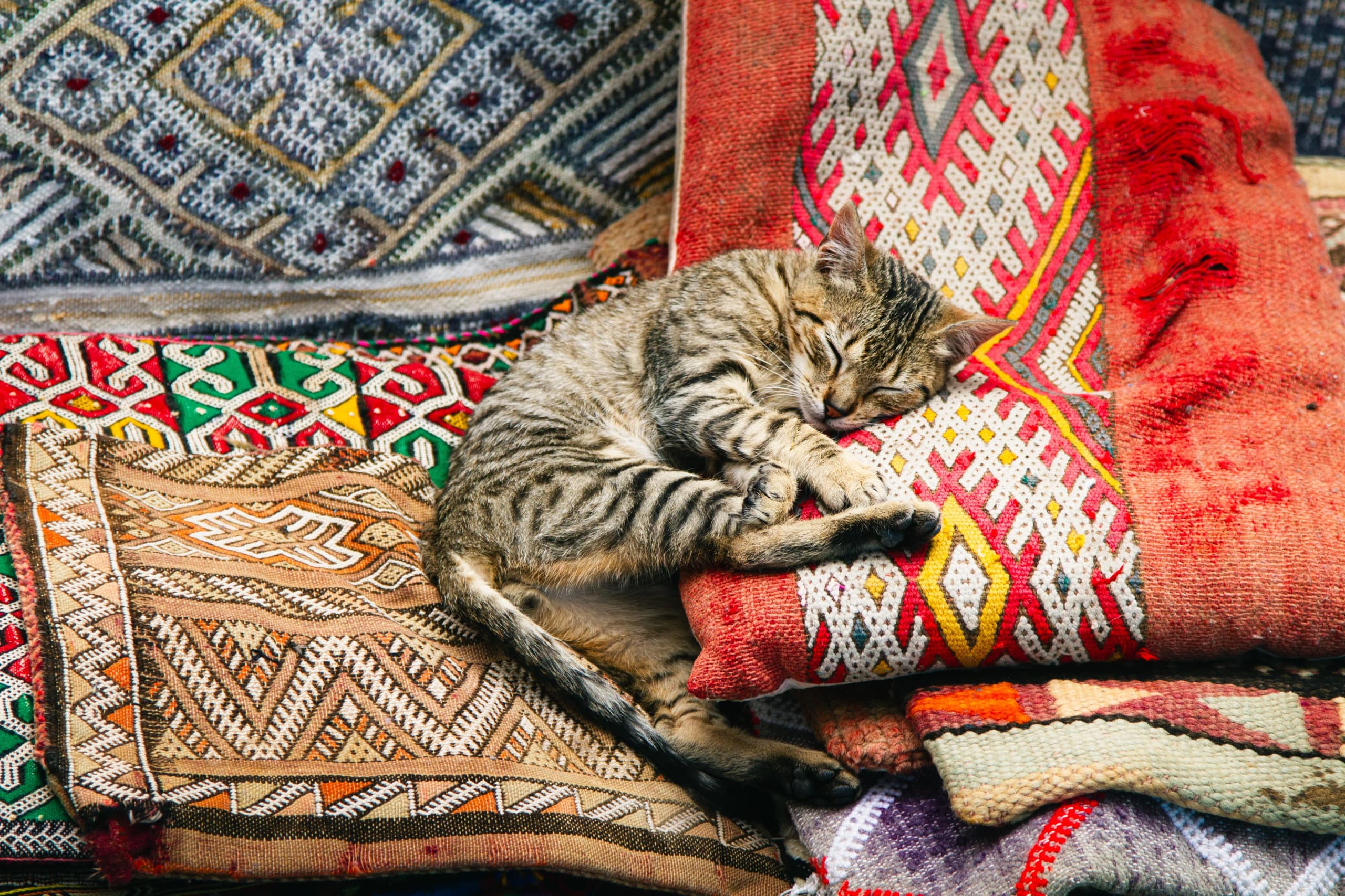 7 Reasons To Buy Authentic Moroccan Rugs
