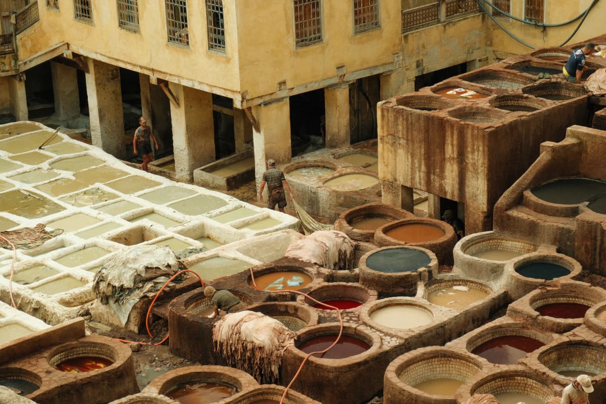 The Radical Eye: How Paul Klee and the Bauhaus Masters Found the Future on the Moroccan Loom